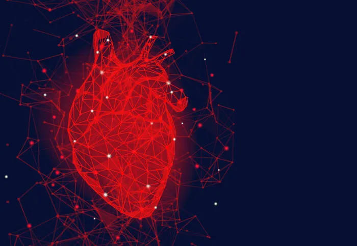 An illustration of a heart drawn in red lines and points of light